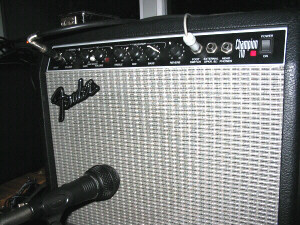 Fender Champion 110 Type PR 225 | Foto: Frans de Meijer