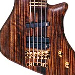 Warwick Thumb en Doplhin Pro I 5-string | Foto: Warwick